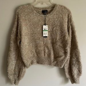 Champagne sparkly sweater